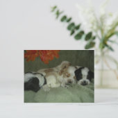 Roan Cocker spaniel Welpen. Nickerchen Zeit! Postkarte (Stehend Vorderseite)