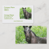 Roan Colt-Visitenkarte Visitenkarte (Vorne/Hinten)