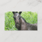 Roan Colt-Visitenkarte Visitenkarte (Rückseite)