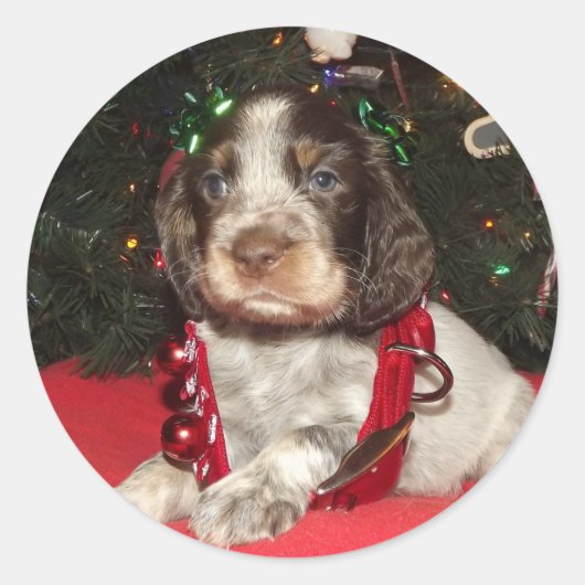 Roan English Springer Spanisch Christmas Puppy Runder Aufkleber (Vorderseite)