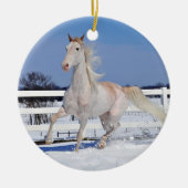 Roan in Snow Keramik Ornament (Vorne)