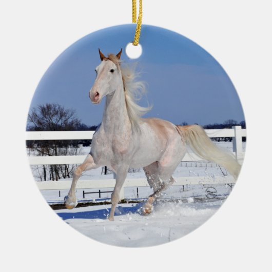 Roan in Snow Keramik Ornament (Vorne)