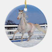 Roan in Snow Keramik Ornament (Hinten)