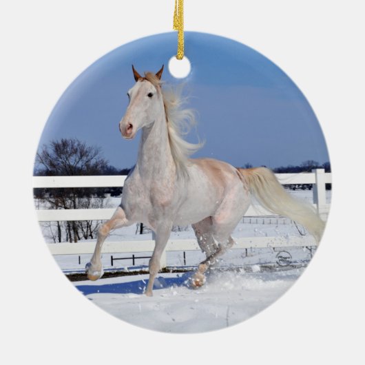 Roan in Snow Keramik Ornament (Hinten)