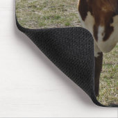 Roan Longhorn-Ochse personifizieren, wenn er Mousepad (Ecke)