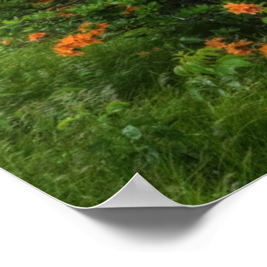 Roan Mountain Art Print Poster (Ecke)