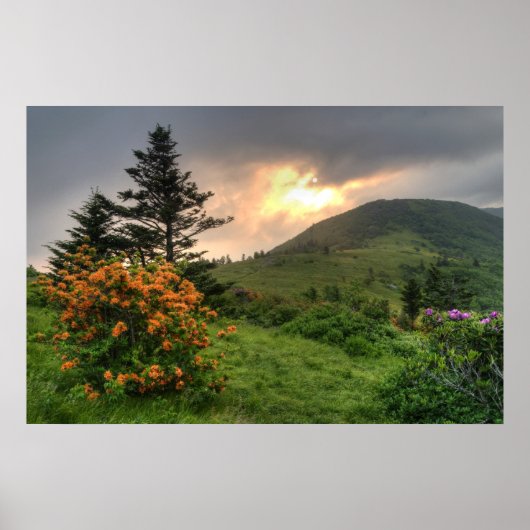 Roan Mountain Art Print Poster (Vorne)