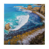 Roaring Bay am Nugget Point Fliese (Vorderseite)