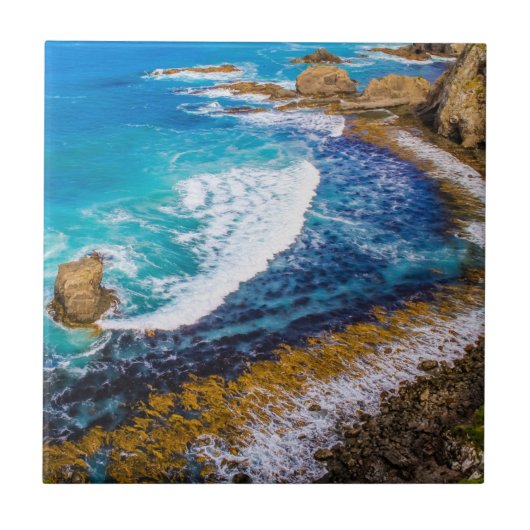 Roaring Bay am Nugget Point Fliese (Vorderseite)