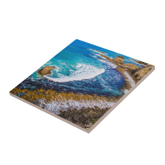 Roaring Bay am Nugget Point Fliese (Seite)