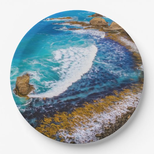 Roaring Bay am Nugget Point Pappteller (Vorderseite)