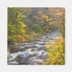 Roaring Brook im Herbst in Vermonts Green 2 Magnet