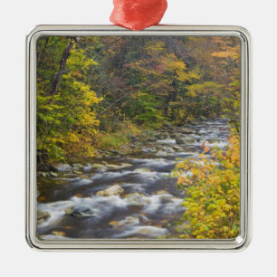 Roaring Brook im Herbst in Vermonts Green 2 Silbernes Ornament