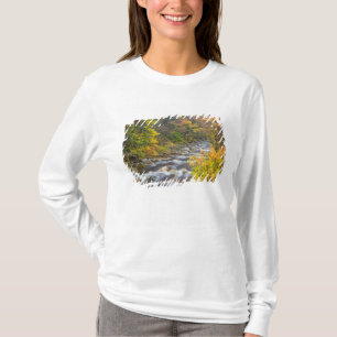 Roaring Brook im Herbst in Vermonts Green 2 T-Shirt