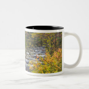 Roaring Brook im Herbst in Vermonts Green 2 Zweifarbige Tasse