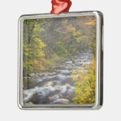 Roaring Brook im Herbst in Vermonts Grünen 2 Silbernes Ornament (Links)