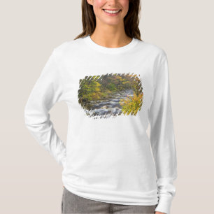 Roaring Brook im Herbst in Vermonts Grünen 2 T-Shirt