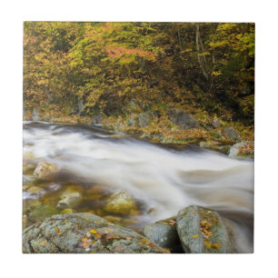 Roaring Brook im Herbst in Vermonts Grünen Fliese