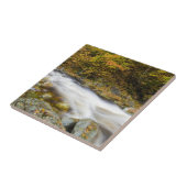 Roaring Brook im Herbst in Vermonts Grünen Fliese (Seite)