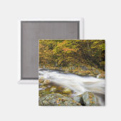 Roaring Brook im Herbst in Vermonts Grünen Magnet (Vorderseite/Rückseite)