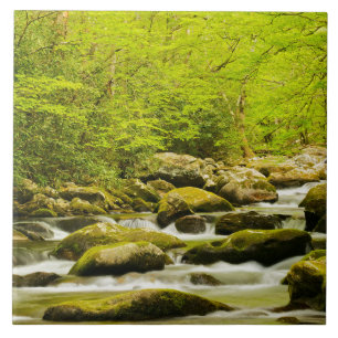 Roaring Fork im Frühjahr Fliese
