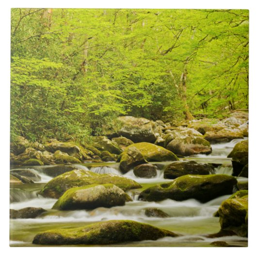 Roaring Fork im Frühjahr Fliese (Vorderseite)