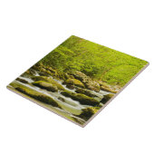 Roaring Fork im Frühjahr Fliese (Seite)