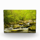Roaring Fork im Frühjahr Fotoblock (Vorderseite)