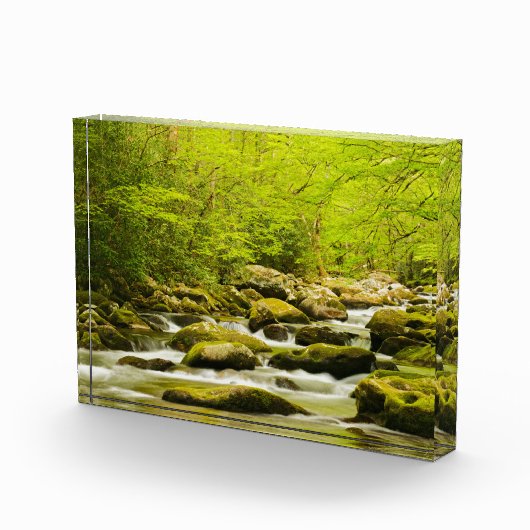 Roaring Fork im Frühjahr Fotoblock (Rechts)