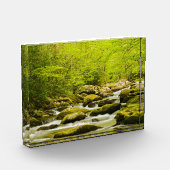 Roaring Fork im Frühjahr Fotoblock (Links)