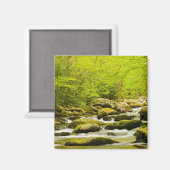 Roaring Fork im Frühjahr Magnet (Vorderseite/Rückseite)