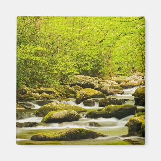Roaring Fork im Frühjahr Magnet (Vorne)