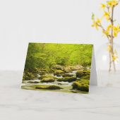Roaring Fork im Frühling Karte (Gelbe Blume)