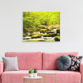 Roaring Fork im Frühling Leinwanddruck (Insitu (Wohnzimmer))