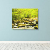Roaring Fork im Frühling Leinwanddruck (Insitu (Holzboden))