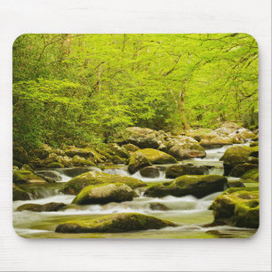 Roaring Fork im Frühling Mousepad