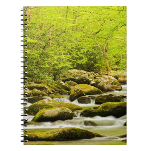 Roaring Fork im Frühling Notizblock (Vorderseite)