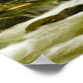 Roaring Fork im Frühling Poster (Ecke)