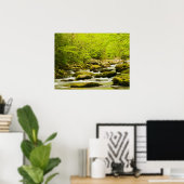 Roaring Fork im Frühling Poster (Heimbüro)