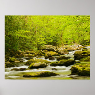 Roaring Fork im Frühling Poster