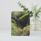 Roaring Forks Motor Trail - Gatlinburg, TN Postkarte (Stehend Vorderseite)