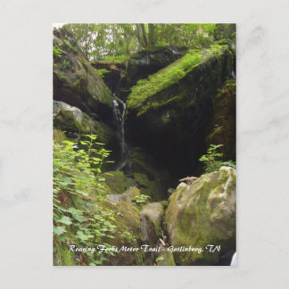 Roaring Forks Motor Trail - Gatlinburg, TN Postkarte
