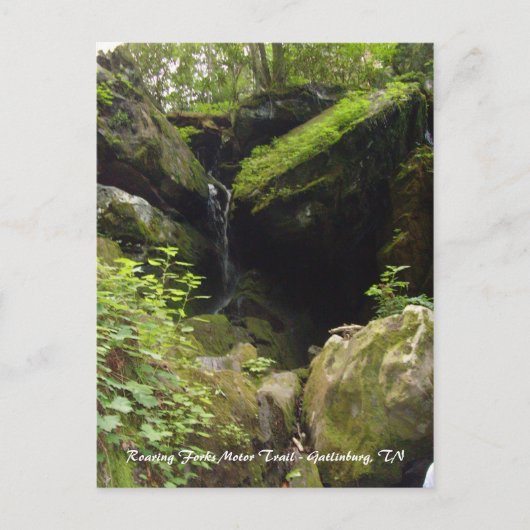 Roaring Forks Motor Trail - Gatlinburg, TN Postkarte (Vorderseite)