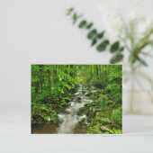 Roaring Forks Motor Trail Postkarte (Stehend Vorderseite)