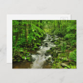 Roaring Forks Motor Trail Postkarte (Vorne/Hinten)