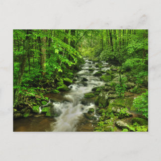 Roaring Forks Motor Trail Postkarte