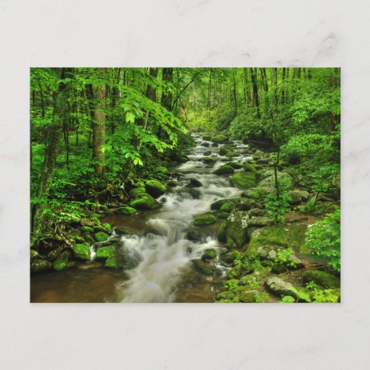 Roaring Forks Motor Trail Postkarte (Vorderseite)