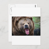 Roaring Grizzly Bear Postkarte (Vorne/Hinten)