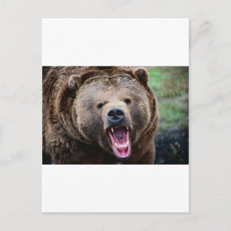 Roaring Grizzly Bear Postkarte
