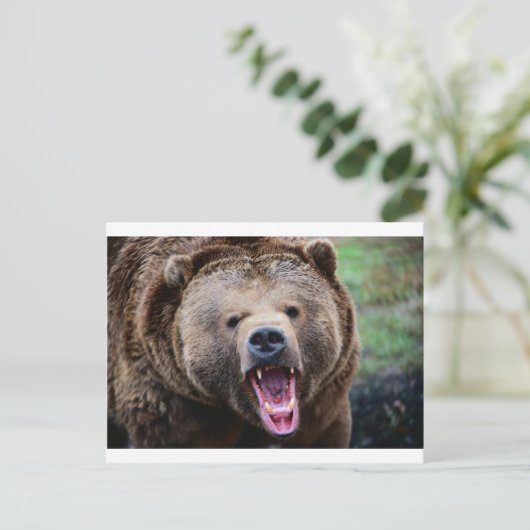 Roaring Grizzly Bear Postkarte (Stehend Vorderseite)